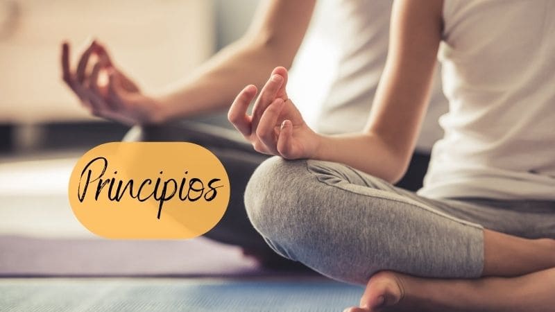 Los principios en el Yoga